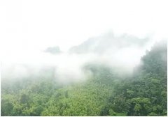 ���M��ɽ�����I�y���T��15��̤��y�^�������y�P